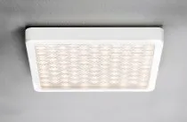 Настенно-потолочный светильник Paulmann 70690 Grid