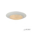 Потолочная люстра iLedex Plain 6146/24W WH