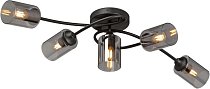 Потолочная люстра Vitaluce V2048-1/5PL