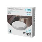 Светильник ЖКХ Gauss 193411212B BASIC