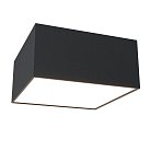 Потолочный светильник Maytoni C067CL-L12B3K Zon
