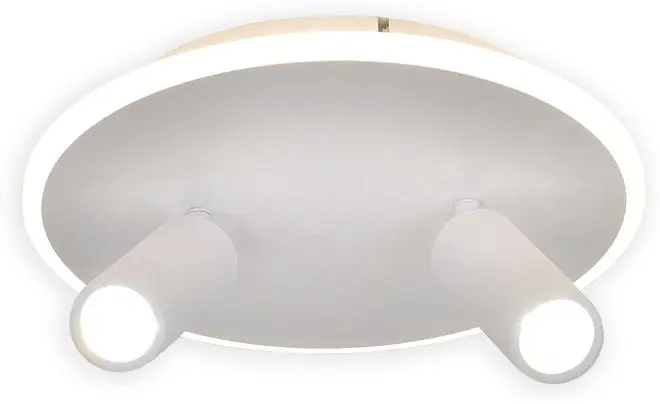 Настенно-потолочный светильник Escada 20046SMA/02LED WH 20046LED