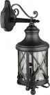 Настенный светильник уличный Oasis Light 84802/02 Bl LUCERNA