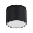 Уличный потолочный светильник Arte Lamp A1913PF-1BK PIAUTOS