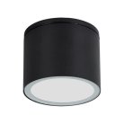 Уличный потолочный светильник Arte Lamp A1913PF-1BK PIAUTOS