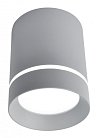 Светильник Потолочный Arte Lamp A1909PL-1GY