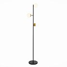 Торшер EVOLUCE SLE220405-03 FORLI