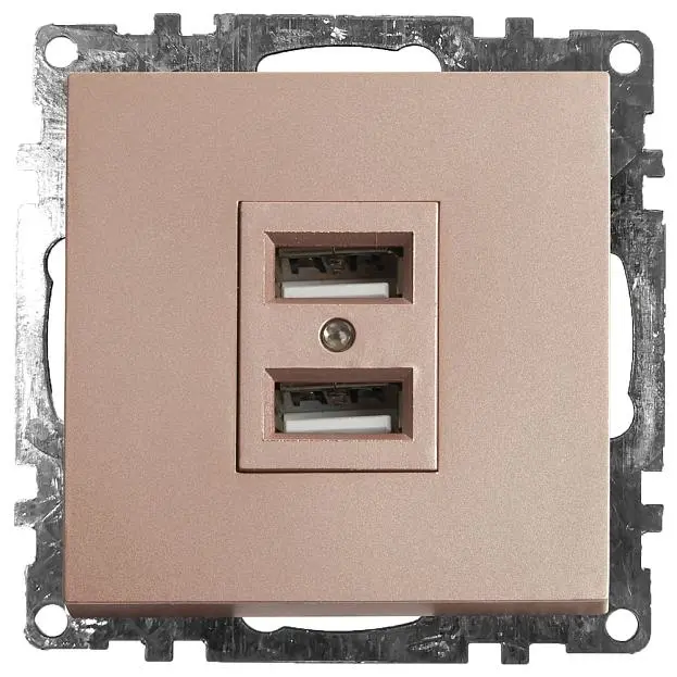 Розетка USB 2-местная (механизм) STEKKER 39602 GLS10-7115-02, 250B, 2,4А Катрин, шампань Розетка USB 2-местная (механизм) STEKKER 39602 GLS10-7115-02, 250B, 2,4А Катрин, шампань