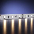 Светодиодная лента Led Strip Maytoni 201002