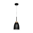 Подвесной светильник Loft IT Loft4402A-Bl Watchman