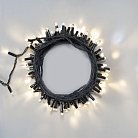 Гирлянда Laitcom ECO100BLW-1-1WW Нить