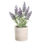Искусственное растение в горшке , H220, ?80, пластик, коричневый Eglo 428031 CHITOSE