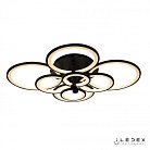 Потолочная люстра iLedex Ring A001/8 BK