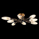 Потолочная люстра ST Luce SL1174.302.08 Desima