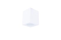 Потолочный светильник Donolux DL263G Dl263g