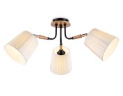 Потолочный светильник Ambrella light TR4731/3