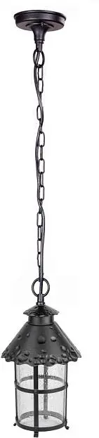 Уличный светильник подвесной Oasis Light 81505 Bl CAIOR 1 Уличный светильник подвесной Oasis Light 81505 Bl CAIOR 1