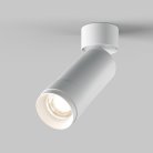 Потолочный светильник Maytoni C055CL-L12W4K-Z-W Focus Zoom