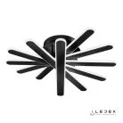 Потолочный светильник iLedex 9043-6-X-T BK Twinkle