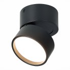 Светильник потолочный поворотный ST LUCE ST651.432.09 ST651