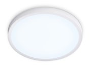 Потолочный светильник влагозащищенный Ambrella light FZ1951