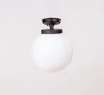 Потолочный светильник уличный Oasis Light 88205SA Bl GLOBO S