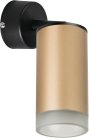 Спот Lightstar RB44030 Rullo