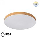 Потолочный светильник Sonex 7761/36L GAMMA