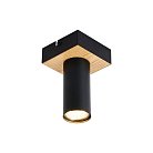 Потолочный светильник F-Promo 4431-1C OLSON