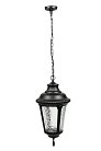 Уличный светильник подвесной Oasis Light 79755М Bl