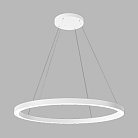 Подвесной светильник LeDron RING LINE R800 White 4000K
