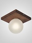Потолочный светильник Мелодия света 000067478 SS1N