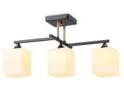 Потолочный светильник Ambrella light TR303114 Traditional Modern