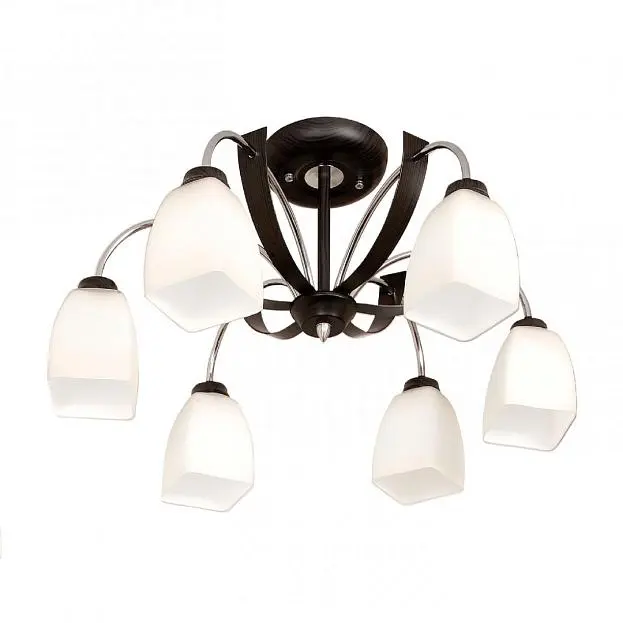 Люстра потолочная Citilux CL128161 Крокус Люстра потолочная Citilux CL128161 Крокус