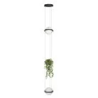 Подвесной светильник Loft IT 10121/2P Dark grey Jardin