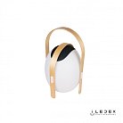 Настольный светильник iLedex Giggle OVS1100-CH WH