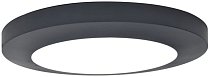 Потолочный светильник уличный Oasis Light W3922 Gr SIDNEY LED