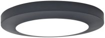 Потолочный светильник уличный Oasis Light W3922 Gr SIDNEY LED