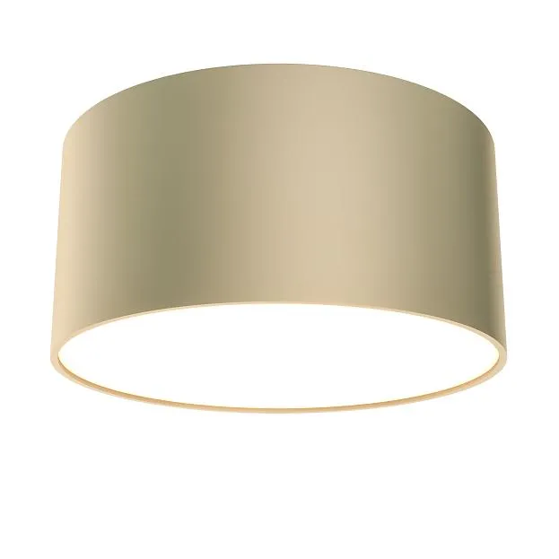 Потолочный светильник Technical Maytoni C032CL-L12MG4K Zon