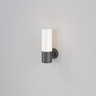 Настенный светильник (бра) Maytoni Outdoor O418WL-01GR Willis