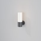 Настенный светильник (бра) Maytoni Outdoor O418WL-01GR Willis