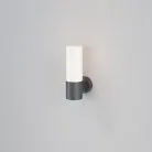 Настенный светильник (бра) Maytoni Outdoor O418WL-01GR Willis