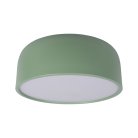 Потолочный светильник Loft IT 10201/350 Green Axel