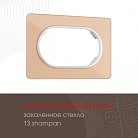 Рамка для двойной розетки 502.13-double.shampan Arte Milano am