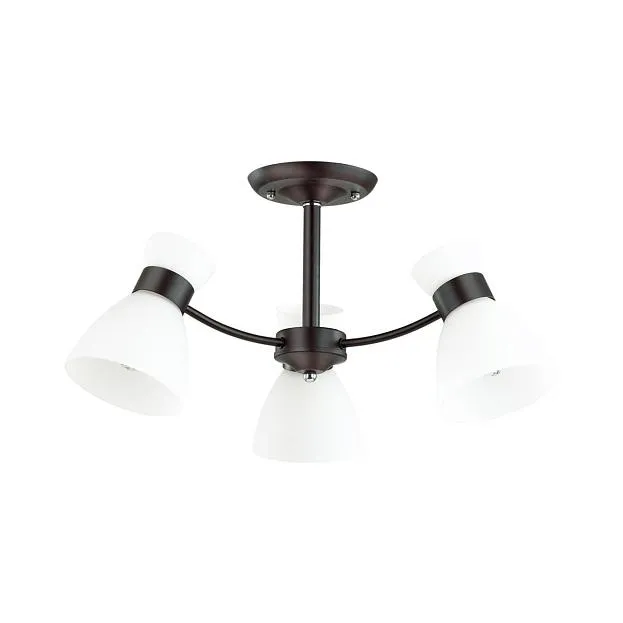 Потолочная люстра LUMION 4534/3C WILMA