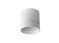 Накладной светодиодный светильник Donolux DL18482R9N1W BARELL