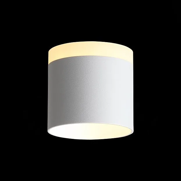 Потолочный светильник ST Luce ST102.502.09 Потолочный светильник ST Luce ST102.502.09