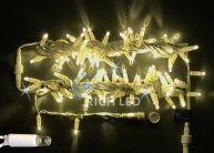 Гирлянда Rich LED RL-S10CF-220V-CW/WW