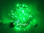 Гирлянда Rich LED RL-S10C-24V-T/G