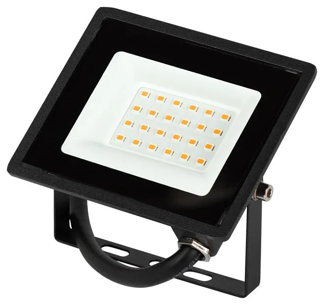 Прожектор уличный ЭРА LPR-023-0-30K-020